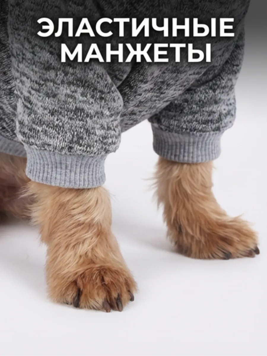Толстовка для собак мелких пород теплый флис
